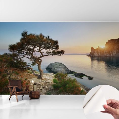 Carta da parati adesiva - lavabile - decorazione murale - per cucina - pellicola decorativa Natura tranquilla 416x254 cm (1/5)