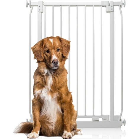 Bettacare Elite Barrière Pour Chiens Extra Haute, 71cm - 80cm, Hauteur Extra Haute De 96.8cm, Couleur Blanc Mat (1/5)