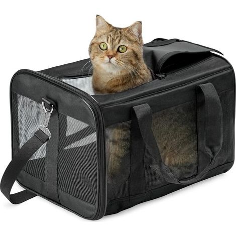 Sac De Transport Chat/Sac De Transport Chien pour Chats, Petits Chiens, Chatons Ou Chiots, Souple et Pliable avec Tapis en Laine pour Voyage en Avion, Voiture et Train Noir (1/5)