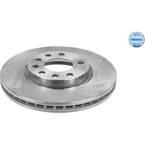 Lot de 2 Disques de frein Meyle 615 521 6046 OPEL 55 69 026 93188919