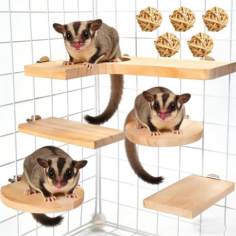 Lot de 10 accessoires pour hamster en bois, jouets pour hamster, plate-forme pour petits animaux, avec planche à sauter, surfaces rectangulaires rondes et 5 balles pour cochons d'Inde, chinchilla (1/5)