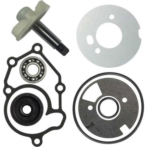 Kit de réparation de pompe à eau pour Yamaha X-Max 125, Nmax 125/150, VP 125, WR 125, YZF-R 125, X-City 125, YZF-R 125, LC 135 V1 et Jupiter MX 135 (1/5)