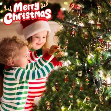 Calendrier De L Avent Chien - Boîtes En Acrylique Transparent - Décoration Noël Intérieur - 24 Compartiments - Version 2025 (1/5)