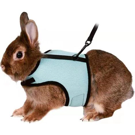 Adjustable soft rabbit harness with elastic leash for small animals rabbits hamsters cats (L, light green) (1/4)