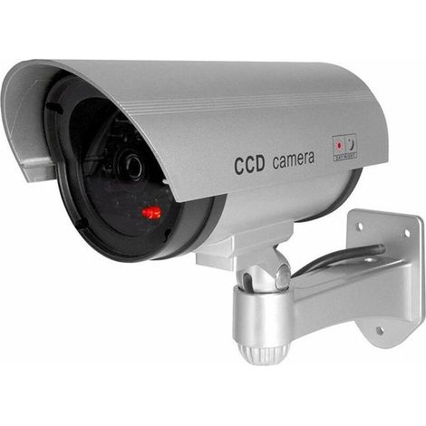Telecamera di sicurezza fittizia impermeabile con LED IR per interni ed esterni, a forma di denaro falso. (1/5)