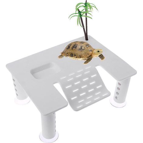 Plateforme pour reptiles et tortues avec rampe à ventouses et échelle. (1/4)