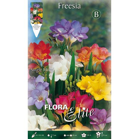 FREESIA SINGLE MIXED (CONFEZIONE DA 10 BULBI)