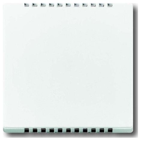 BUSCH-JAEGER 6541-84 PLAQUE CENTRALE POUR ZONE FROIDE POUR VARIATEUR ROTATIF ENCASTR, DAVOS/BLANC STUDIO, SOLO CARAT
