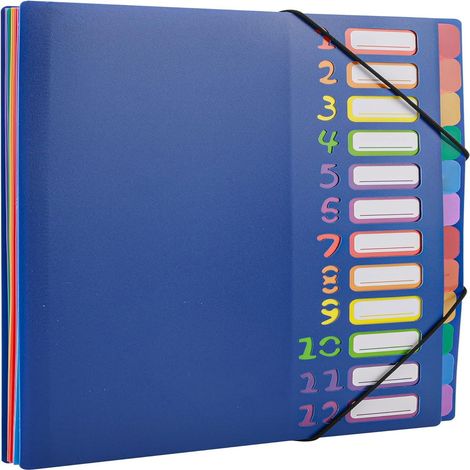 Dossier Pliable Avec Séparateurs - PP Étanche - Format A4 - 12 Onglets Colorés - 24 Poches - Pour Bureau École Maison (1/5)