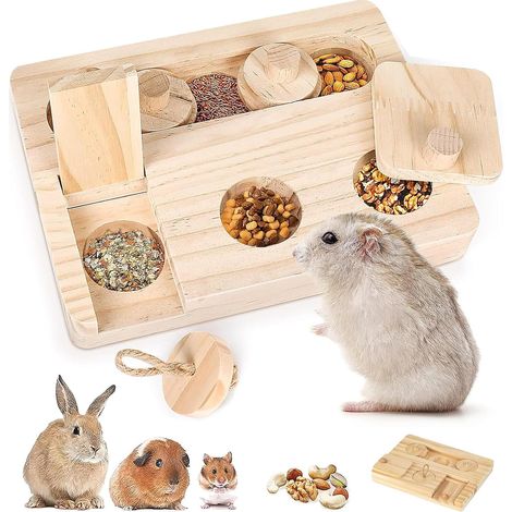 Guinea Pig Toy 6 in 1 Hamster Chew Toys (1/5)