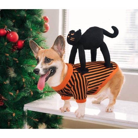 Kleiner Hundemantel, Katzen-Hundemantel mit einzigartigem Design, schwarze Katzenkleidung