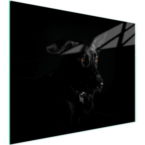 TABLA DE CORTAR DE VIDRIO 52x40 PERRO (1/5)