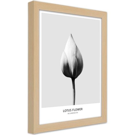 Quadro con cornice, Bocciolo di loto bianco - 60x90 (1/5)
