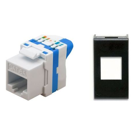 TechLy presa di rete RJ45 UTP CAT.6a tooless + Ave Noir
