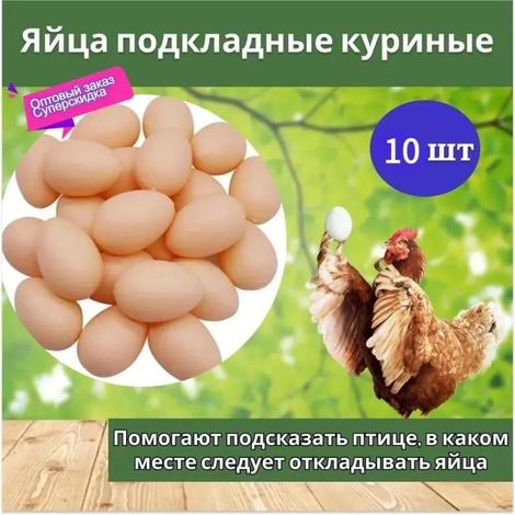 Beyamis Faux œufs en nid de poule (Lot de 1) (1/4)