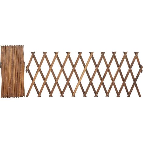 Garde-corps bois extensible treillis plantes grimpantes clôture jardin décoration maison (1/5)