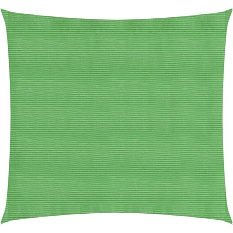 Voile d'ombrage 160 g-m² Vert clair 2x2 m PEHD (1/5)