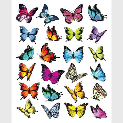 Sticker - Papillons colorés - 14x20 cm