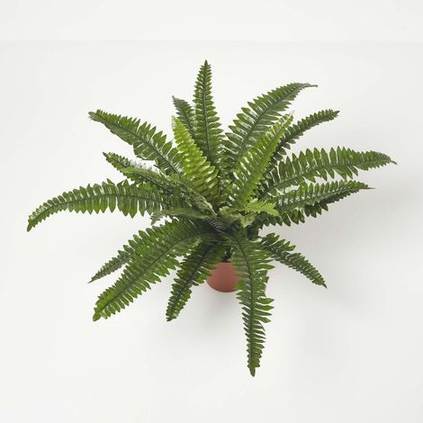 Homescapes Plante artificielle Fougère de Boston en pot, 45 cm (1/5)