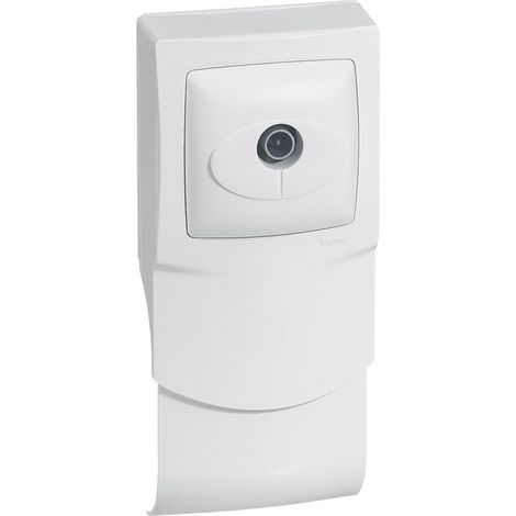 Cadre 1 poste + tv pour plinthe (298924)