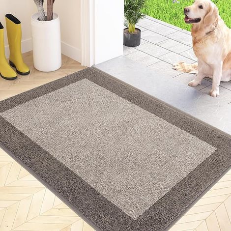 Paillasson Interieur Entree 50 x 80 cm, Tapis d'Entrée Antidérapant et Lavable en Machine, Tapis de Sol Douces Absorbantes pour Chien, Porte, Couloir (1/4)