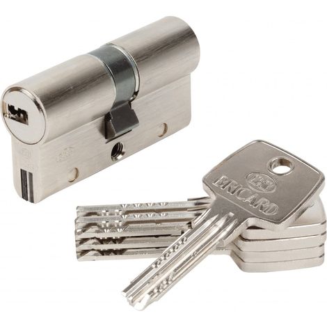 Bricard – Cylindre de serrure débrayable 30 + 30 mm – 10 goupilles – 5 clés – Sécurité niveau 4 pour porte d'entrée
