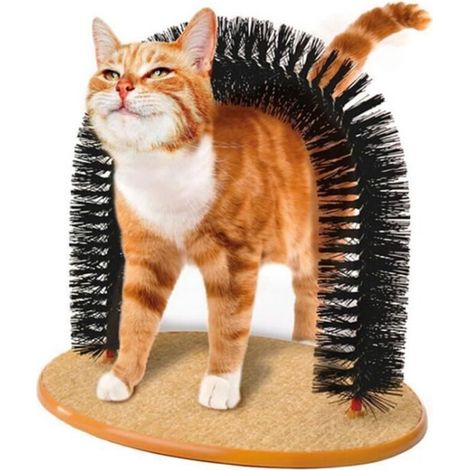 griffoir chats peigne chat brosse jouets chat pour chaton (1/4)