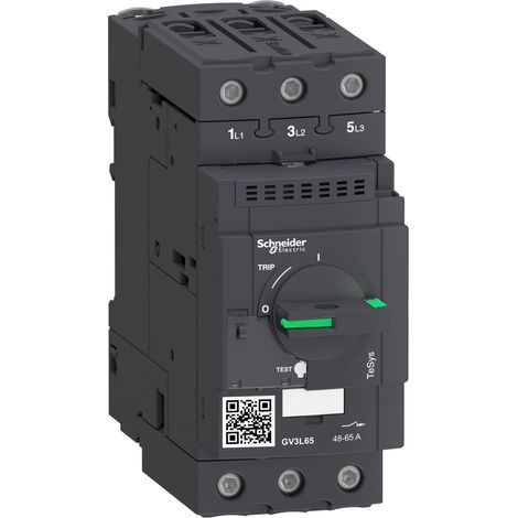 DISJONCTEUR MAGNETIQUE 65 - GV3L65 (1/3)