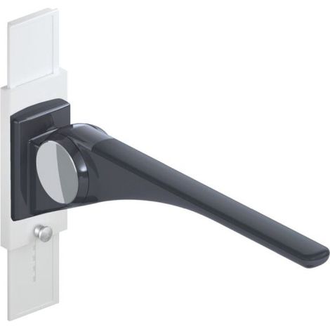 HEWI 802.50.40860 DR Poignée d'appui rabattable Basic, 750 mm (1/2)