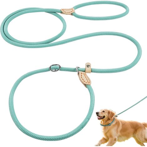 Correa de entrenamiento para perros, 1,8 m, correa de nailon resistente (1/5)