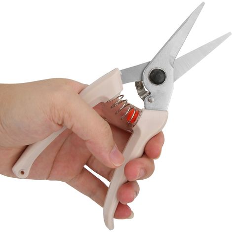 Sécateur, sécateur droit en acier allié blanc, outils manuels pour arbres fruitiers