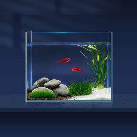 3.8L-Aquarium-Set mit Fischnetz, Wasserwechsel-Schlauch (1/5)