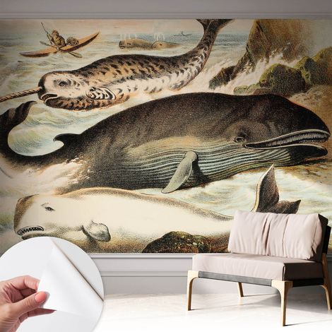 Papier peint autocollant avec imprimé pour décoration intérieure pour rénovation a motif Géants marins 312x219 cm (1/5)