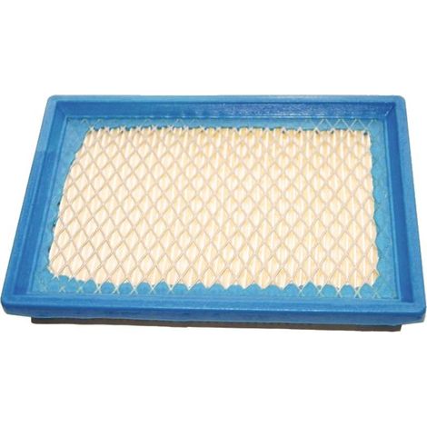 Filtre à air BRIGGS ET STRATTON 397795 (1/3)