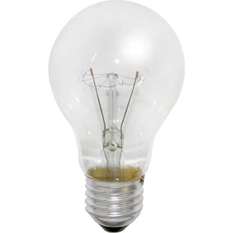 Ampoule incandescente spéciale four - Standard - 40W - E27 - Blanc chaud