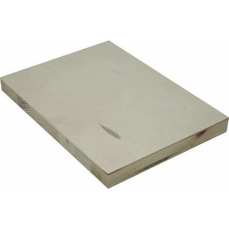 Tischlerplatte Birke 22mm 1250x2500x22mm