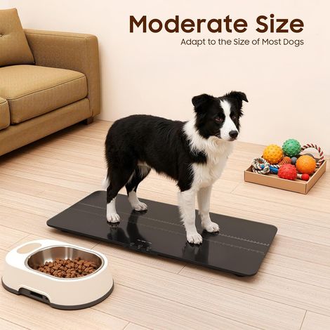 Balance Numérique pour Chiens et Animaux Domestiques, Balance pour Grands Chiens et Chats, Max. 100 kg, 50 g, Écran LCD, 3 Modes de Pesée, Recharge USB, Fonction de Support Tara, Plateforme (1/5)