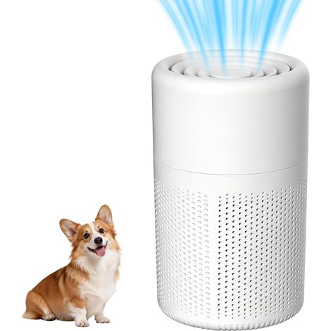 Mini Purificateur d'Air Chambre, Air Purifier avec H13 HEPA Filtre, Purificateurs d'air avec Aromathérapie, Silencieux, Parfumée Pour Allergies Pour Allergies,Poussière,Poils D'Animaux, Odeurs (1/5)
