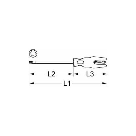 ERGOTORQUEplus Schraubendreher, T9 (1/5)