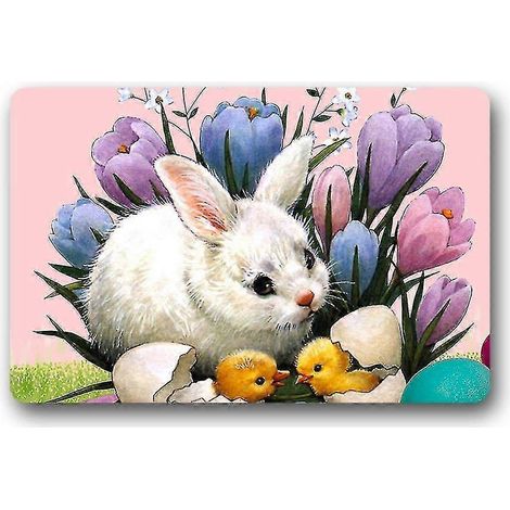 Tapis d'entrée intérieur/extérieur 40x60 cm A--10259