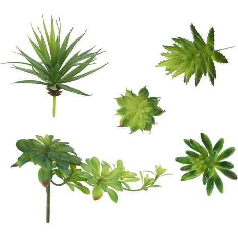 5 Tiges de Succulentes Artificielles Vertes, Tailles Assorties (1/5)