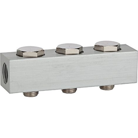 Riegler Versorgungsleiste für Wegeventile, mit 3 Ventilpositionen, G 1/4 (1/2)