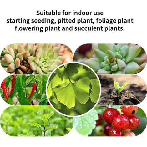 Lampe de croissance LED pleine lumière solaire 30cm pour plantes, kit intérieur serre avec minuterie, 4 barres lumineuses + accessoires (1/5)