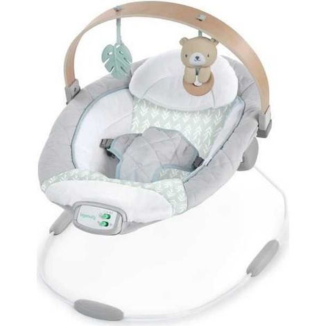 INGENUITY Babyschaukel Nate der Bär mit Holzspielbogen, Geschenk für Babys (1/3)