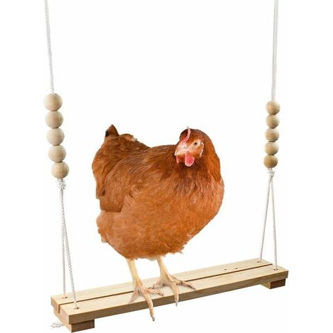 Hühnerschaukelspielzeug für den Hühnerstall, natürliches und sicheres Holzzubehör. Große, robuste Sitzstange mit Leiter für Geflügel, Hähne, Hennen, Küken, Papageien, Aras und mehr. (1/5)