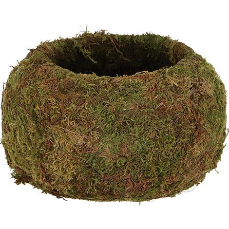 Kokedama boule de mousse 9 cm (1/3)