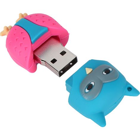 Clé USB 64GB Hibou Coloré, Stockage Rapide USB 3.0, Mémoire Flash en Gros (1/5)