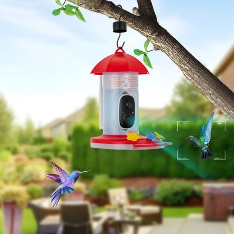 Bird Smart Bird Feeder with Camera, Auto Record Bird Videos With 2.4GHz WiFi (1/5)