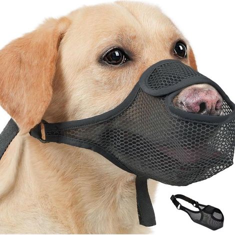 Museliere pour Chiens, Muselière Chien Réglable Nylon, Musoliaire Chien Respirante, Muselières pour Chiens Pliable en Filet Souple, Museliere Anti Aboiement (Noir) (1/5)