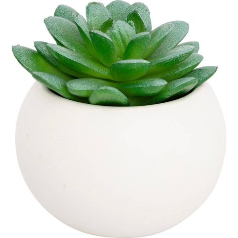 Pianta grassa in vaso H13 - Modèle h/blanc - Atmosphera créateur d'intérieur